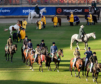 SRES 12 Reasons | Grand Parade